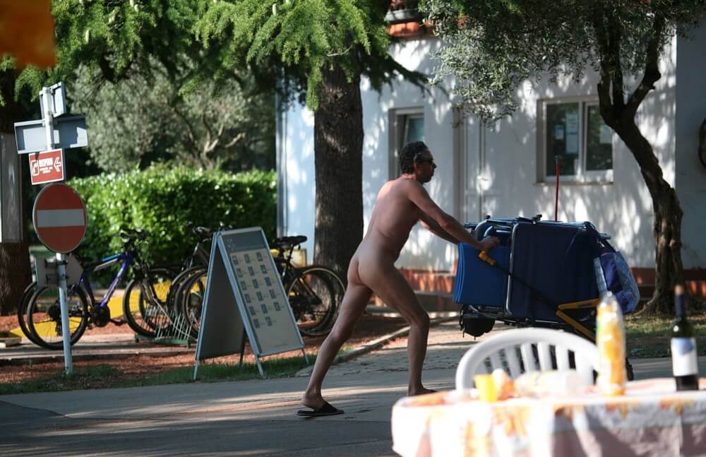 Park Side Street Pass-Bys photos - Striving for harmony with nature—its okay to be a little naked