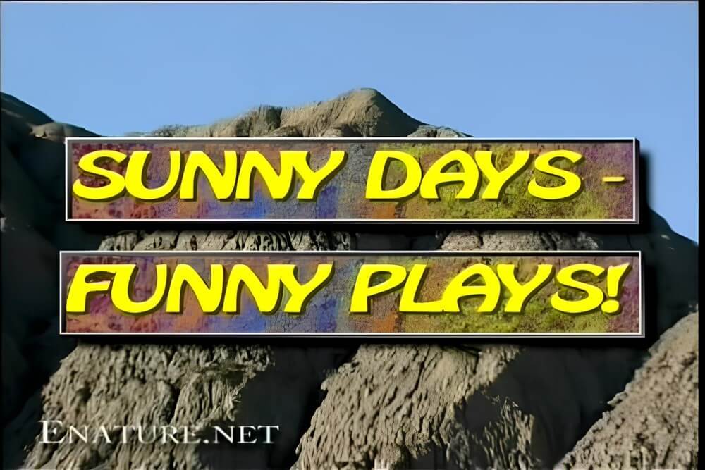 Enature - Sunny Days – Funny Plays - Naturalness and freedom go hand in hand with naturism