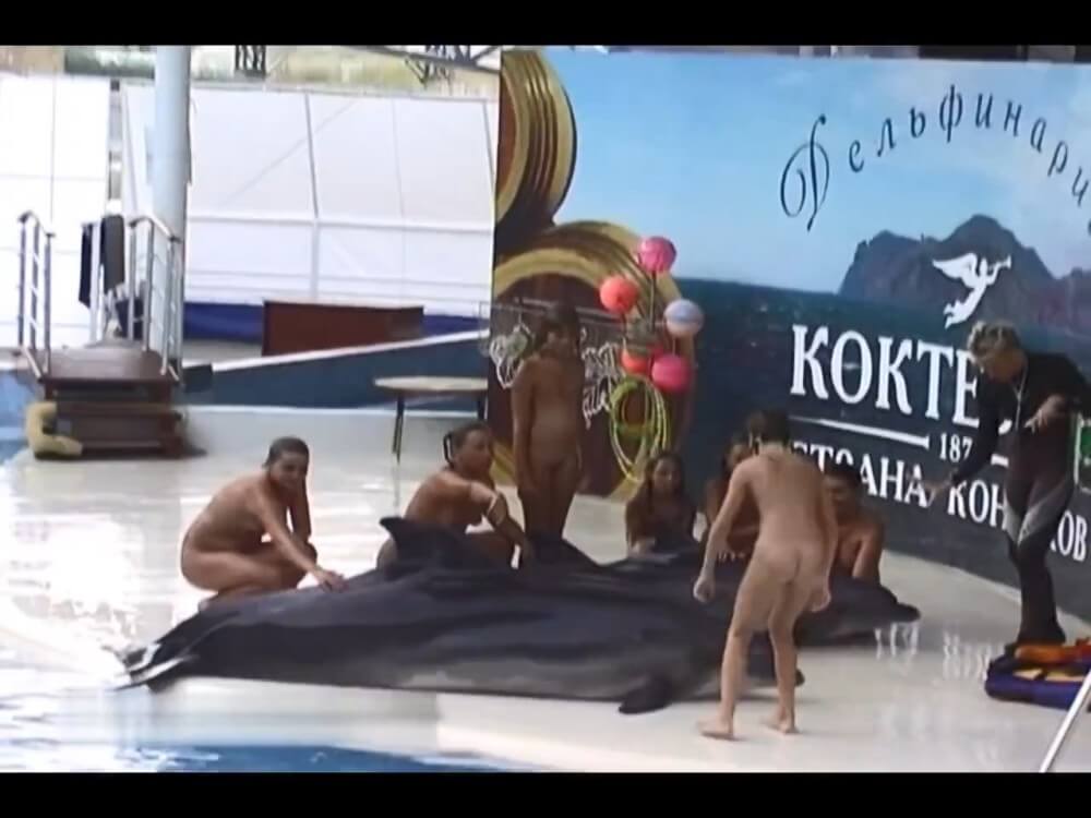 Relaxing at the dolphinarium - Stereotypical perceptions of nudists